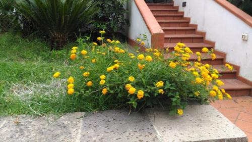 Caltanissetta Bed & Breakfast | B&B Pian del Lago