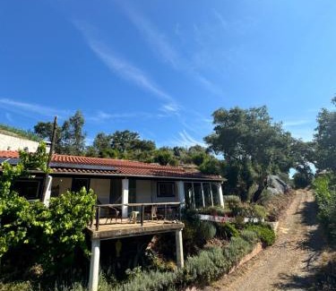 Reliquias Bed & Breakfast | B&B Ronny