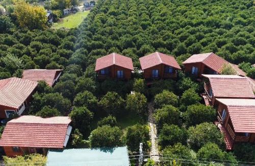 Cirali Villa | Bahçe Villa