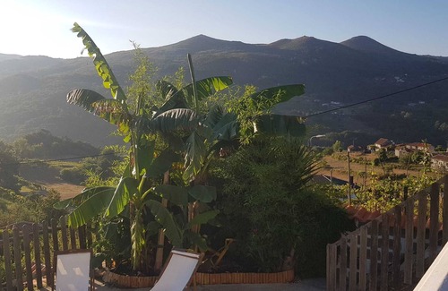 Baiao House | Baião-Douro campelo and ovil