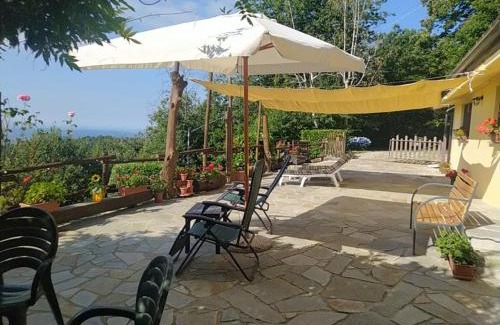 Donato Apartment | Baita Sambuco