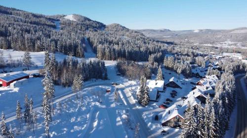 Trysil Apartment | Bakkebyvegen 15A