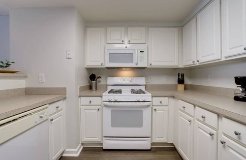 Ballston Apartment | Ballston local vibe/Stay near Metro