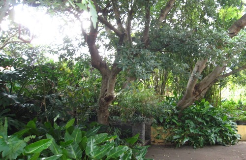 Santa Brigida Cottage | BAMBU VACATION HOME, (A SPLENDID GARDEN)