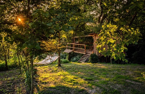 Varvazov Other | Baráček na stromě - ubytování v korunách stromů, TreeHouse