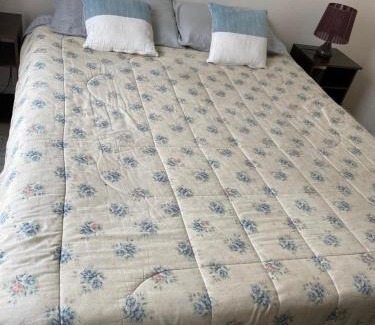 Concepcion Apartment | barlovento Brisas