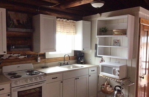 Cedarville Cabin | Bass Cove Cabin - LesCheneaux Landing