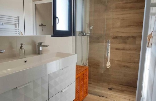 Le Teich House | Bassin d'Arcachon: fully air-conditioned villa with heated pool and spa
