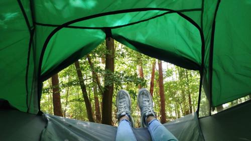 Selmsdorf Other | Baumzelt mitten im Wald bis 180kg