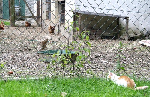 Emmelshausen Hotel | Baunhöller-Mühle