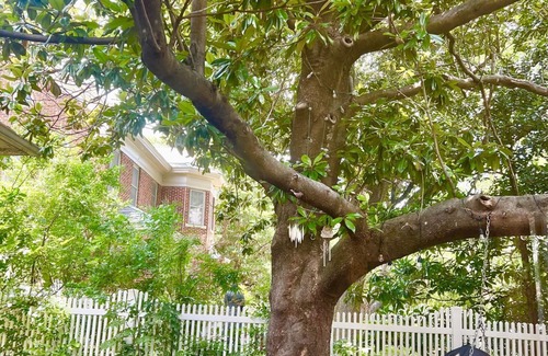 Waco House | Baylor Home -Hidden Gem it’s your home away from home! Come feel the warmth!