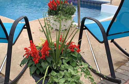 Spring Lake Heights House | Beach or Pool Day? You can have both!