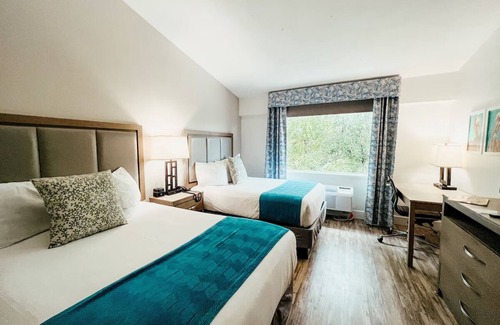 Key Largo Hotel | Beachfront Property! Beach, Pool, and Proximity to Key Largo Attractions
