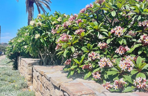 Mona Vale House | Beachside townhouse at Mona Vale beach, spacious and modern, footsteps to beach