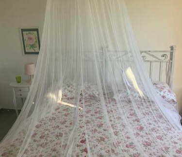 Sassetta Apartment | Beahouse: casa con vista a Sassetta