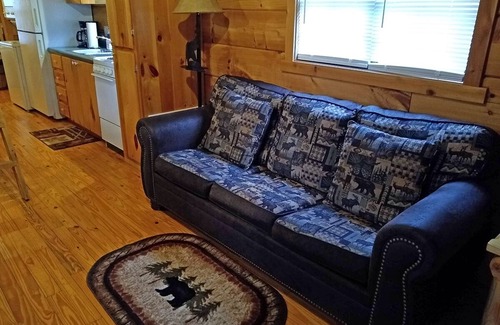 Franklin Cabin | Bear Cabin - 2 Bedroom/1 Bath Vacation Rental