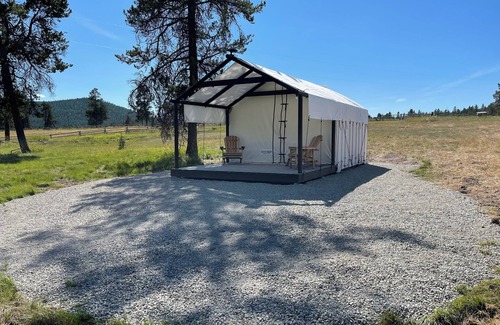 Marion RV Rental | Bear Paw Glamper
