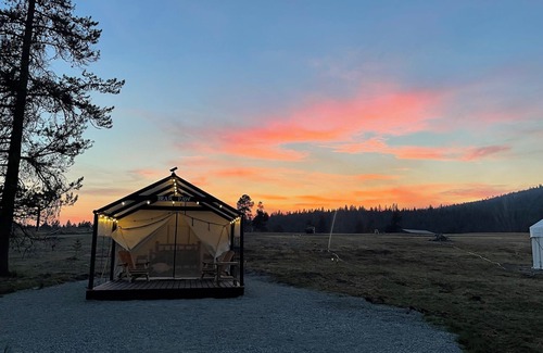 Marion RV Rental | Bear Paw Glamper