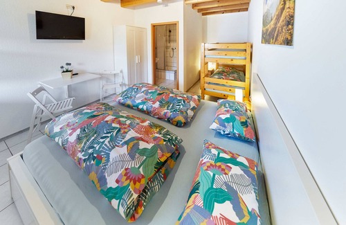 Rust Apartment | Beautiful 1-room apartment with bathroom & WC - just a 10-minute walk from Europa-Park
