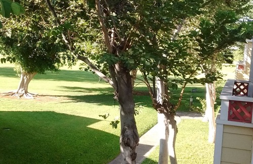 Waikoloa Condo | Beautiful 2 Bedroom Condo