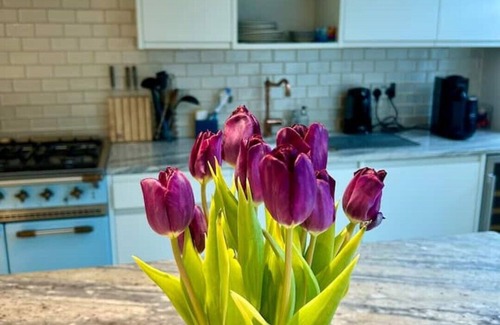 Kemptown House | Beautiful 3 bedroom home near Finsbury Park