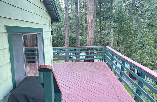 Pollock Pines House | Beautiful and Luxurious Forest home