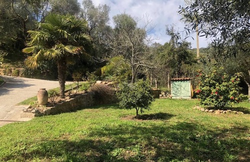 Olmeto Apartment | BEAUTIFUL APART. 80M² well equipped GROUND FLOOR VILLA with pleasant garden