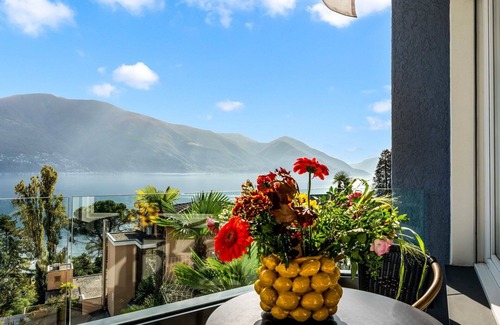Ascona Apartment | Beautiful apartment for 2 guests with WIFI, TV, balcony and pets allowed