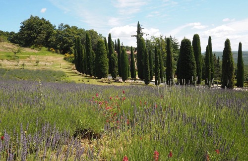 San Gimignano Apartment | Beautiful apartment for 6 guests with WIFI, pool and panoramic view, close to San Gimignano