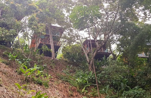 Quimbaya Cabin | Beautiful cabin in Quimbaya, Quindio close to theme parks