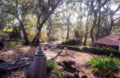Tetla de la Solidaridad Cabin | Beautiful cabin in the heart of the bush for 2 persons