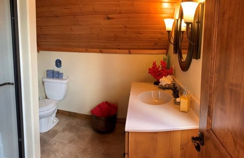 Piedmont House | Beautiful centrally Located 5BR home in Black Hills!