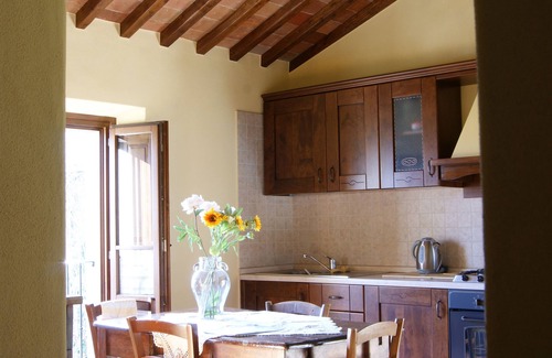 Motina Apartment | Beautiful country house in Tuscany, on a panoramic hill near Anghiari, Arezzo