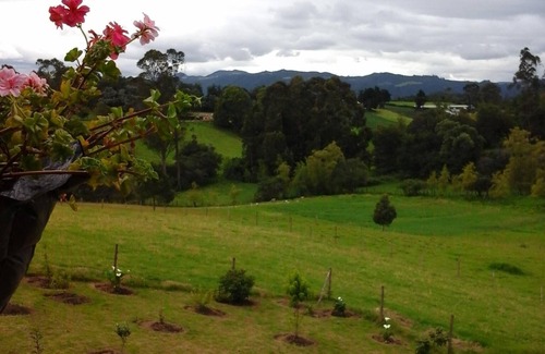 El Rosal House | Beautiful Country House