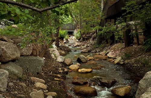 Broadmoor Cabin | Beautiful deck DIRECTLY on CREEK! * CENTRAL AIR * Walk to the Broadmoor