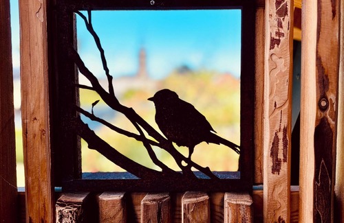 Norath Apartment | Beautiful large vacation apartment with private terrace in the versatile Hunsrück. 70 sqm