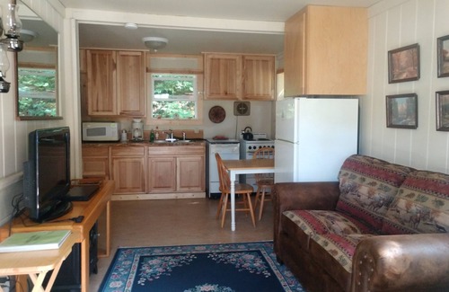 Packwood Ski Chalet | Beautiful Northwest Lodging - Mountainside Chalet "Tiny House" - Honeymoon for 2