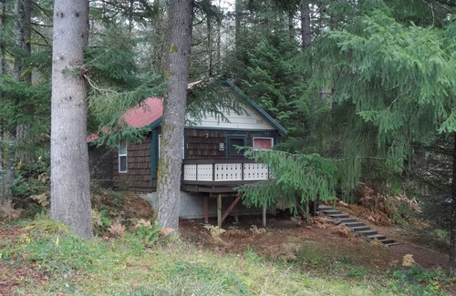 Packwood Ski Chalet | Beautiful Northwest Lodging - Mountainside Chalet "Tiny House" - Honeymoon for 2