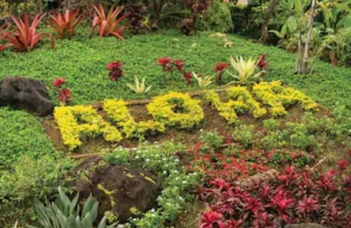 Wailua Resort | Beautiful One Bedroom Garden View Available Dec 23-30 2025