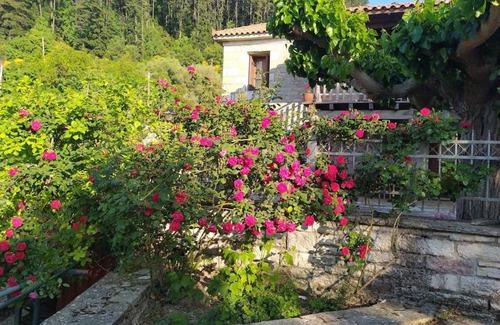 Trifylia Apartment | Beautiful stone house!