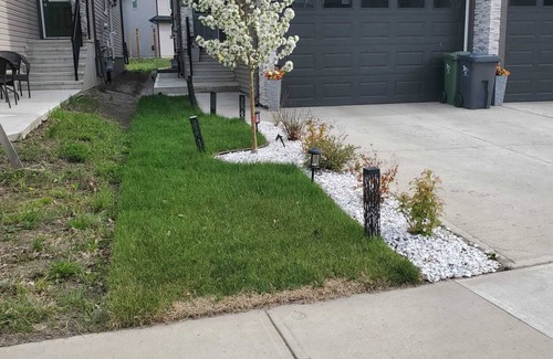 Beaumont House | Beautiful Tranquil One Bedroom, calm, cozy and clean Basement Suite