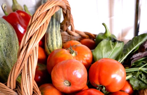 Farneta Villa | Beautiful Villa near Cortona