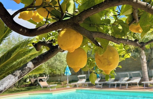 Carini Villa | BEAUTIFUL villa with pool for exclusive use comfort near sea ideal relaxation