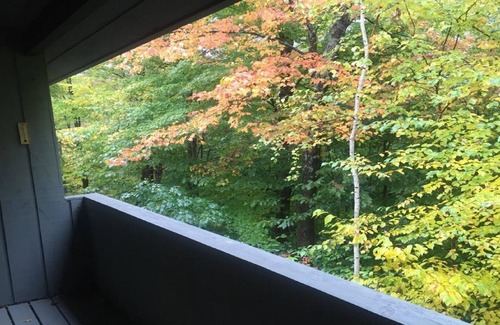Lincoln Condo | Beautifully renovated condo at Loon Mountain - fully air conditioned!