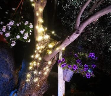 Contrada Pistavecchia 2 Bed & Breakfast | Beb oasi marina