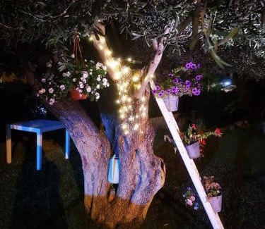 Contrada Pistavecchia 2 Bed & Breakfast | Beb oasi marina