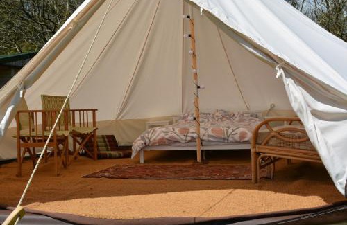 Trecastle Other | Bell Tent