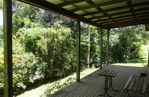 Bellthorpe Cottage | Bellthorpe Stays - Cottage: waterfalls, rainforest, wildlife and walking tracks.