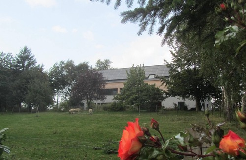 Fehmarn Apartment | Beltblick offers two large, comfortable apartments, located on St. John