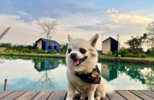 Nong Rua Resort | Bergen Resort เบอร์เกน รีสอร์ท